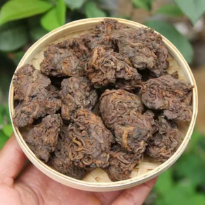 普洱茶老茶頭普洱熟茶 雲南普洱茶老茶頭500克