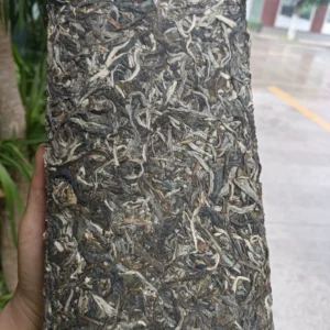 1000克普洱生磚，存放價值高，2024年春