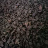 收藏級別-普洱小顆粒糯香老茶頭，果膠含量豐富-500克