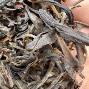 2006年布朗山曼夕山喬木生態散茶生茶