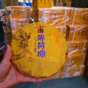 古樹薄荷塘禮盒裝！普洱生茶餅花果香豐富！濃郁度至高！