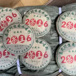 2006年茶王易武倚邦野生喬木古樹普洱老生茶幹倉