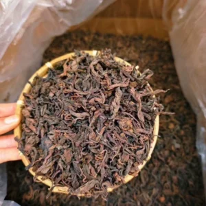 2012年果敢樟香古樹大葉老熟茶果敢樟香古樹大葉老熟茶.純正果敢樟香.樟香濃郁.