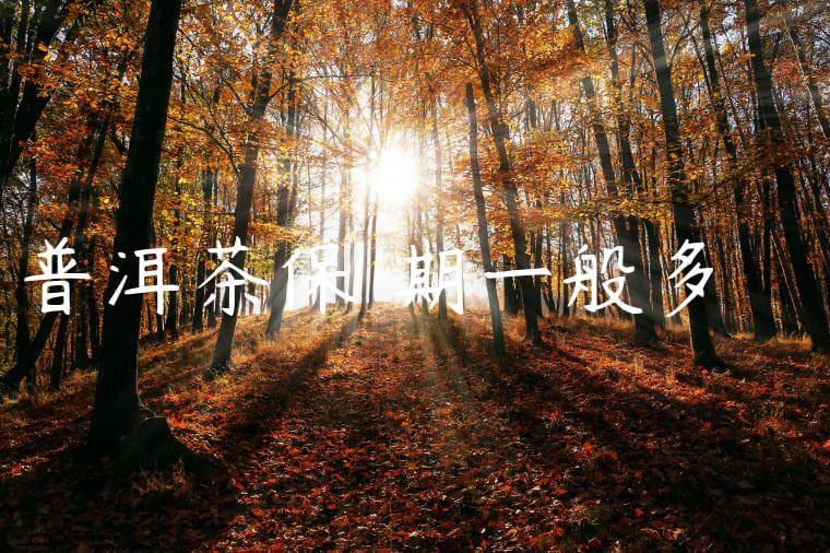 普洱茶保質期一般多長時間