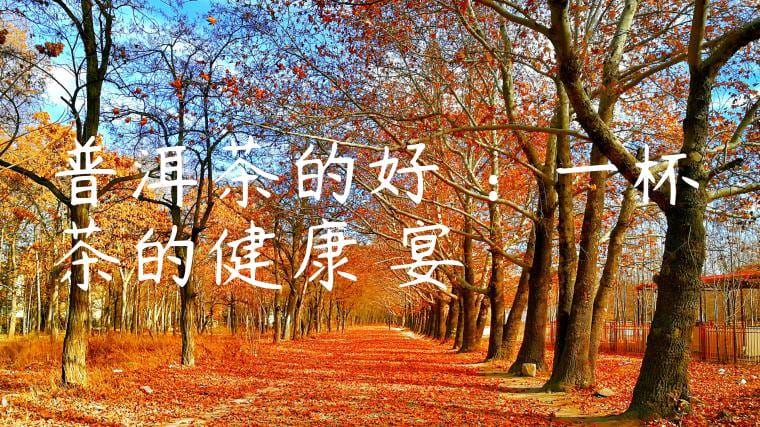 普洱茶的好處：一杯茶的健康饗宴