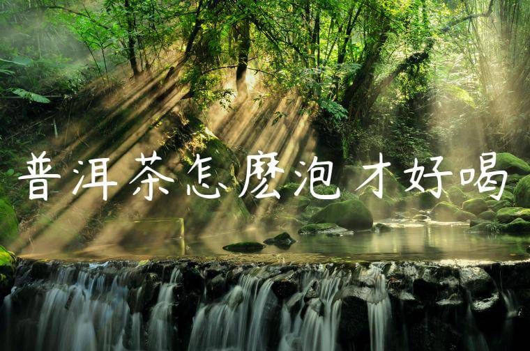 普洱茶怎麽泡才好喝