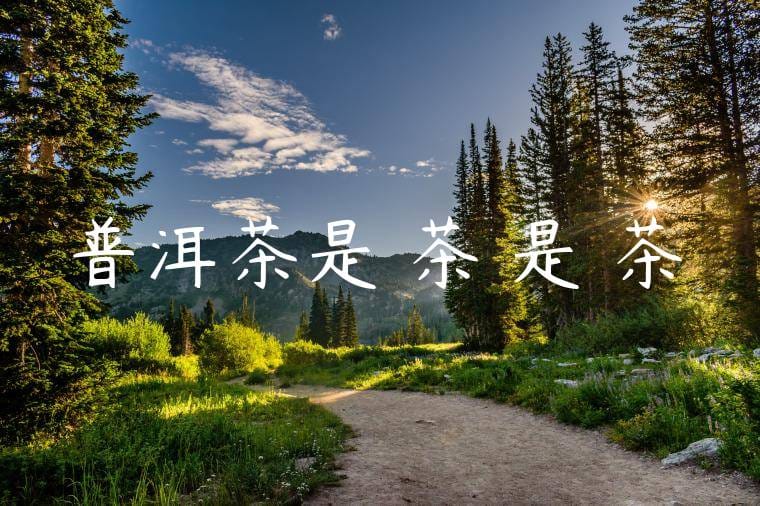 普洱茶是紅茶還是綠茶