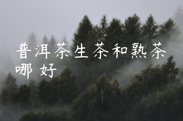 普洱茶生茶和熟茶哪個好