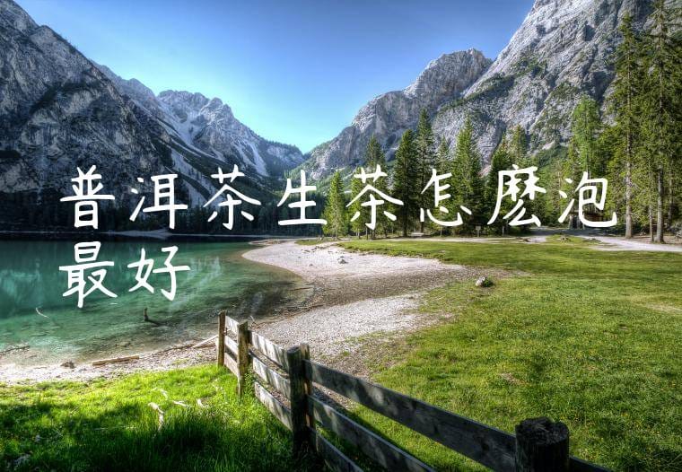 普洱茶生茶怎麽泡最好