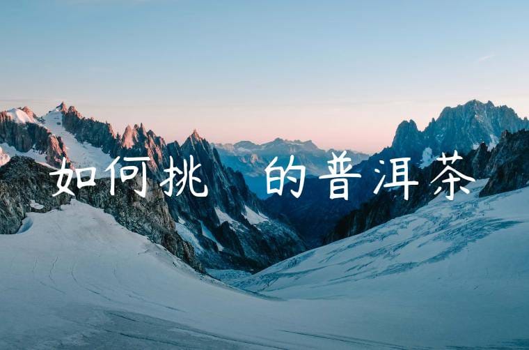 如何挑選優質的普洱茶
