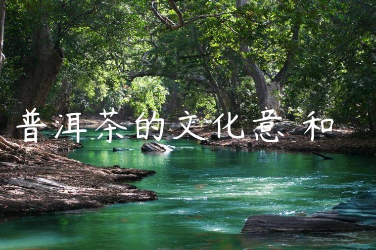 普洱茶的文化意義和傳統