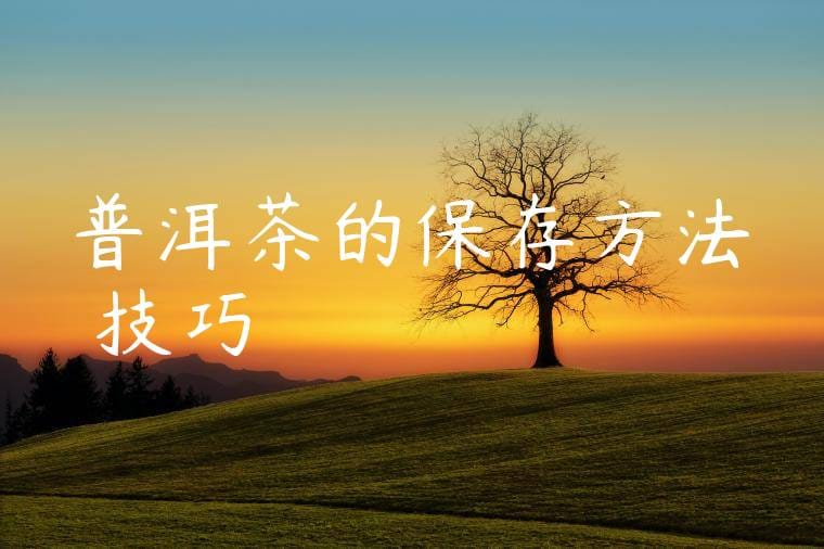 普洱茶的保存方法與技巧
