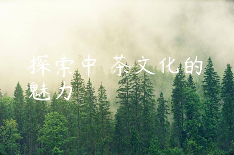 探索中國茶文化的魅力