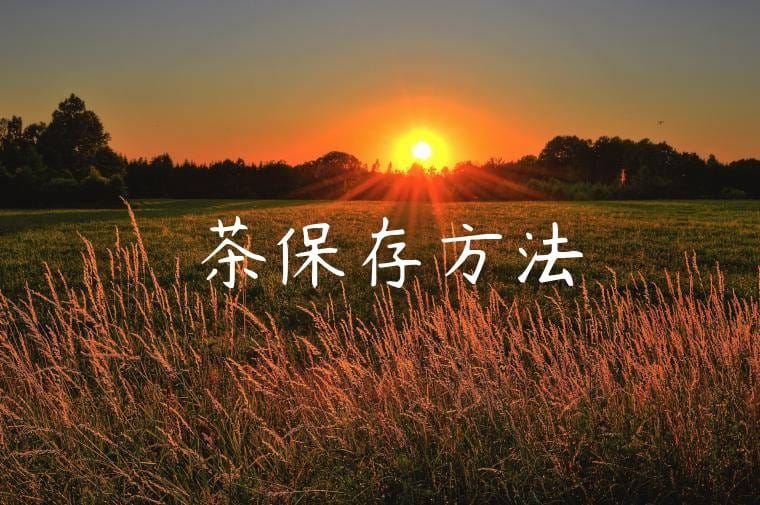 綠茶保存方法