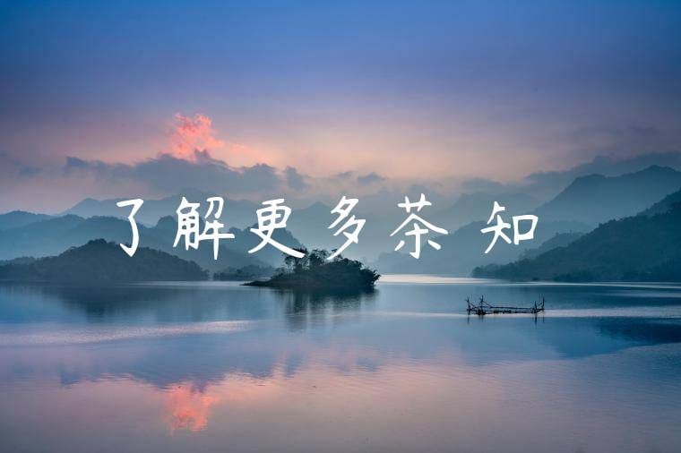 了解更多茶葉知識