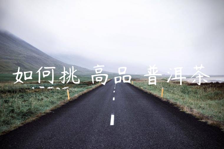 如何挑選高品質普洱茶