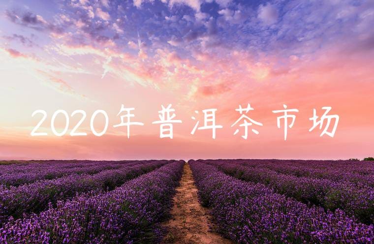 2020年普洱茶市场