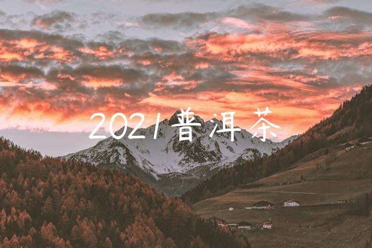 2021普洱茶