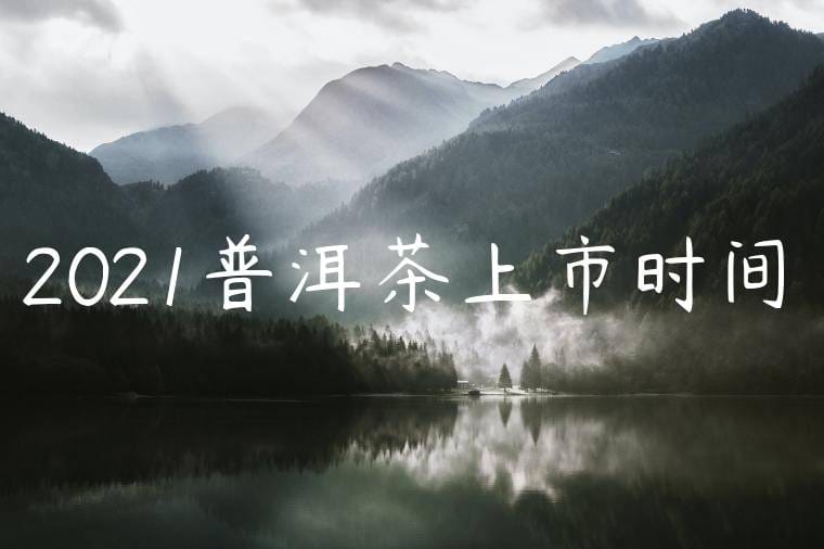 2021普洱茶上市时间