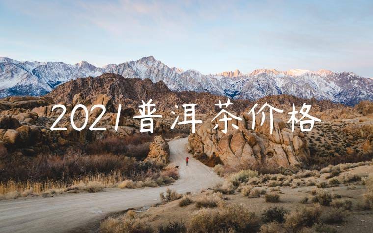2021普洱茶价格