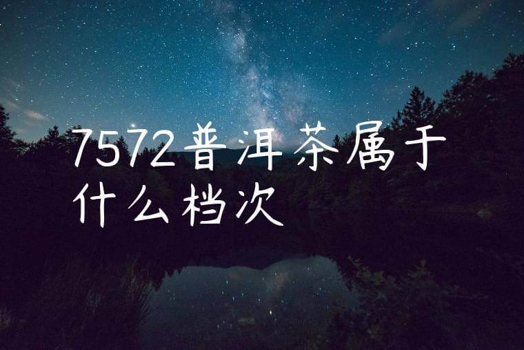 7572普洱茶属于什么档次