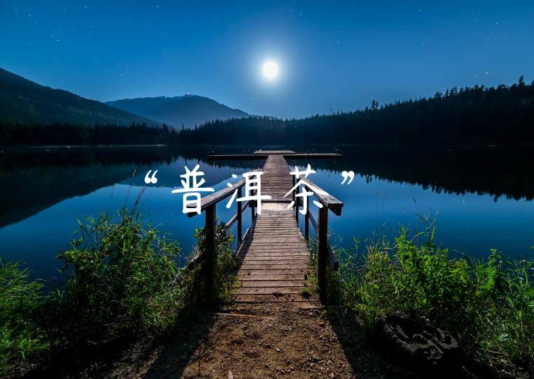 “普洱茶”