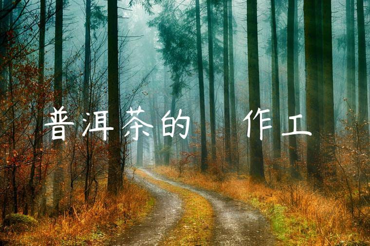 普洱茶的來歷與製作工藝