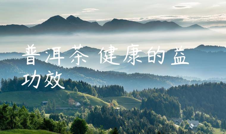 普洱茶對健康的益處與功效