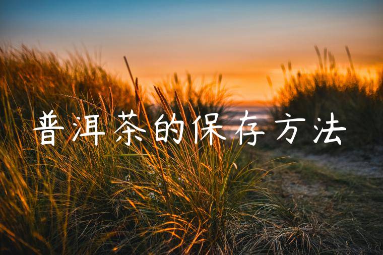普洱茶的保存方法