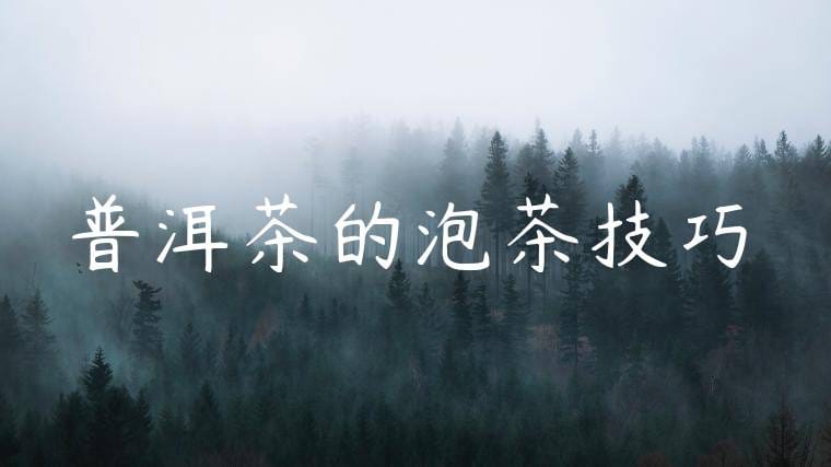 普洱茶的泡茶技巧