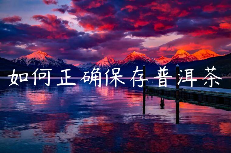 如何正确保存普洱茶