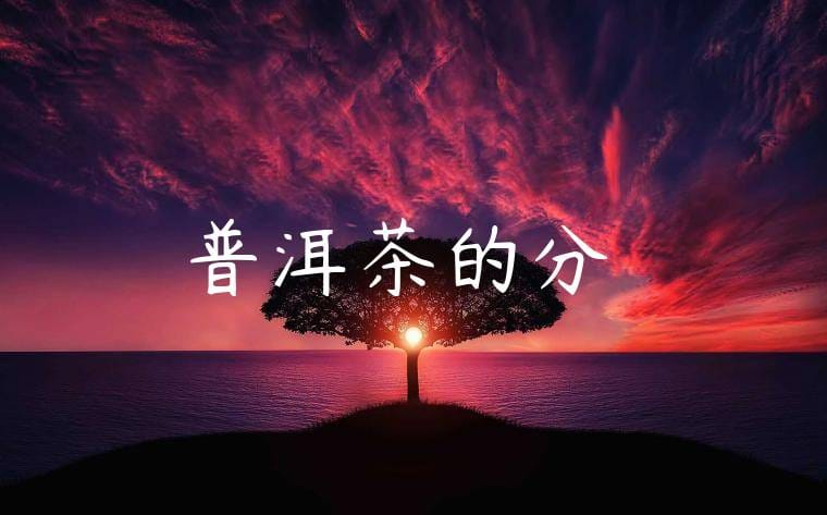 普洱茶的分類