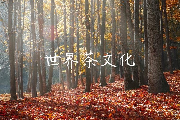 世界茶文化