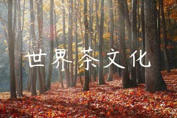 wpac-thumb-10894_jpg