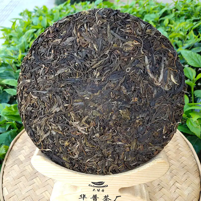 景迈山头春古树纯料紧压357g生茶饼古树茶 普洱茶 BUASHOP普洱老茶