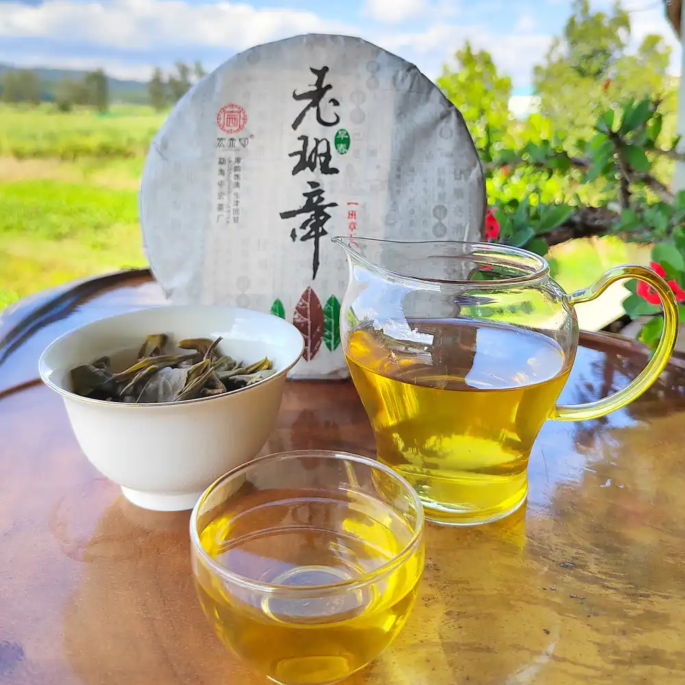 老班章普洱茶云南普洱生茶勐海老树生普-357克 普洱茶 BUASHOP普洱老茶