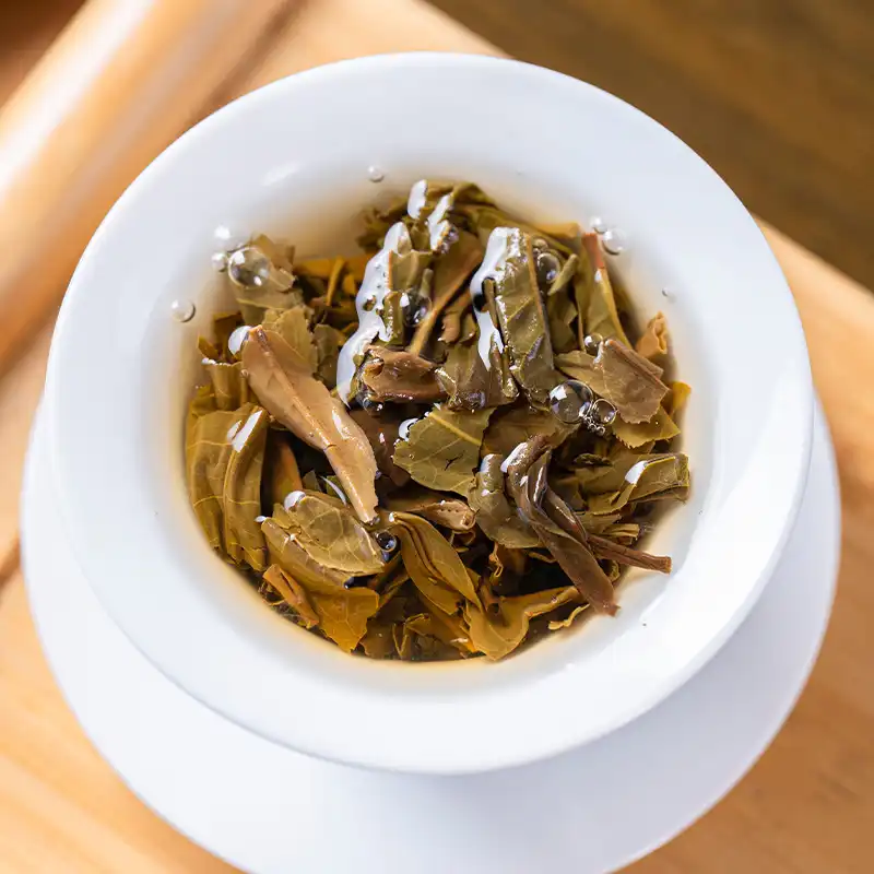 佰年尚普2024年桃源兰韵普洱茶饼357g紧压茶 普洱茶 BUASHOP普洱老茶