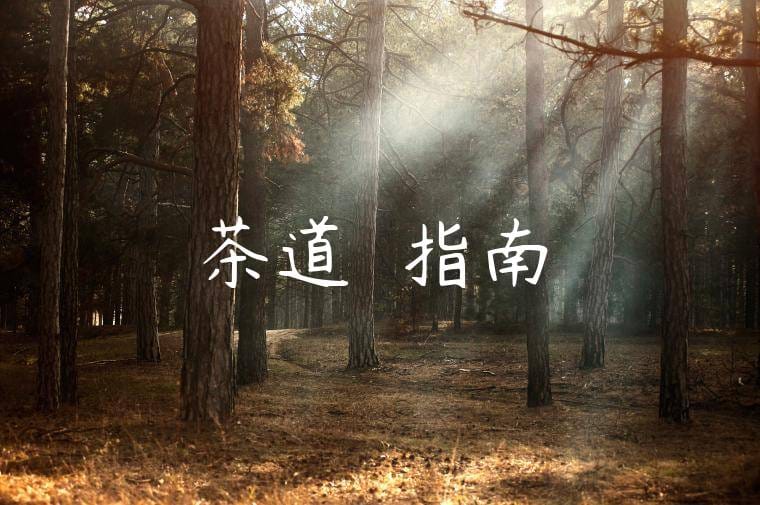 茶道禮儀指南 茶道禮儀指南