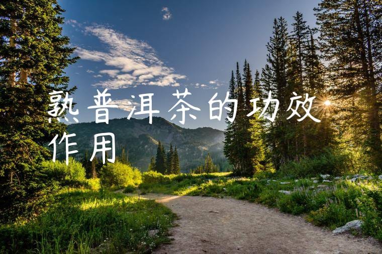 熟普洱茶的功效與作用