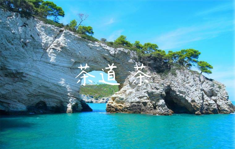 茶道與茶禮 茶道與茶禮
