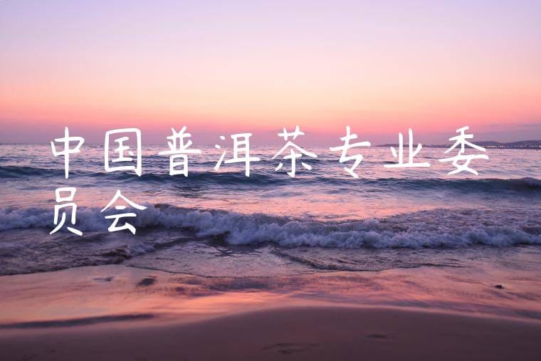 中国普洱茶专业委员会