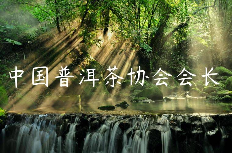 中国普洱茶协会会长