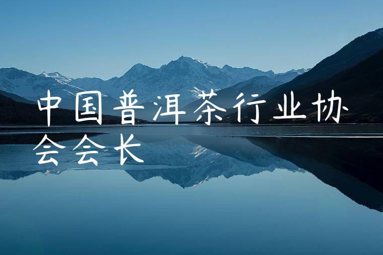 中国普洱茶行业协会会长