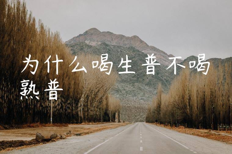 为什么喝生普不喝熟普