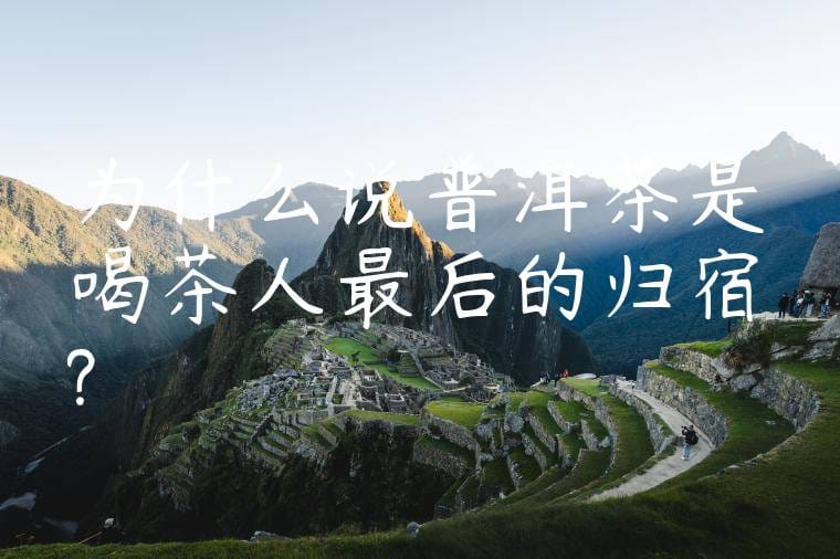 为什么说普洱茶是喝茶人最后的归宿?