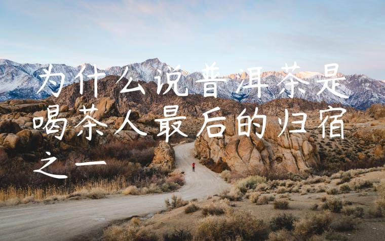 为什么说普洱茶是喝茶人最后的归宿之一