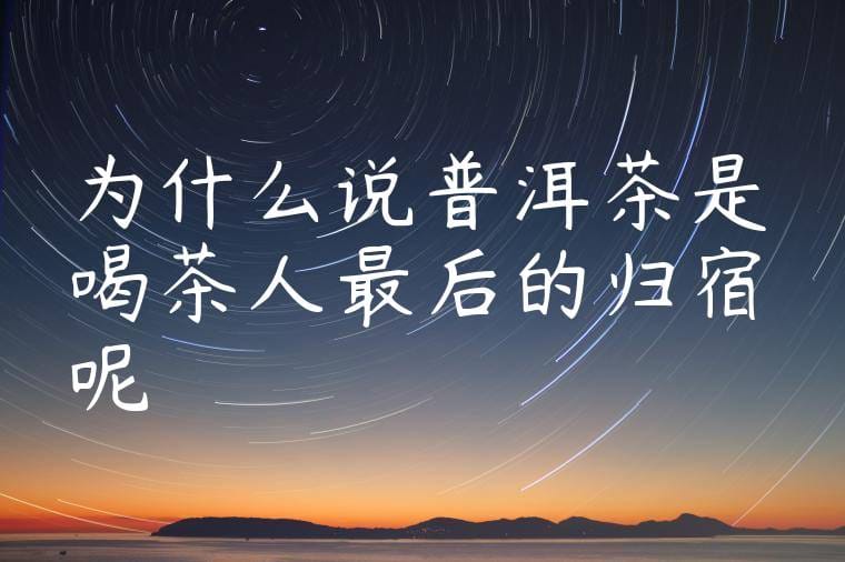 为什么说普洱茶是喝茶人最后的归宿呢