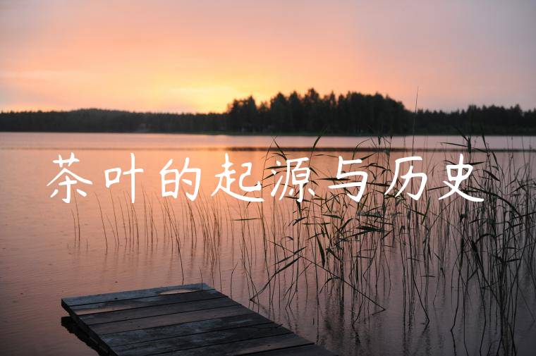 茶叶的起源与历史