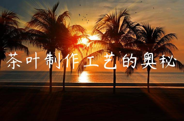 茶叶制作工艺的奥秘