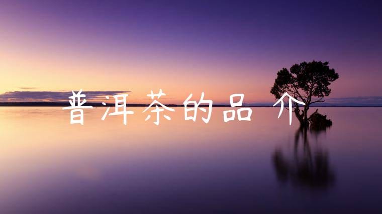普洱茶的品種介紹